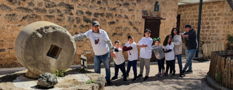 פעיליות ממוזער